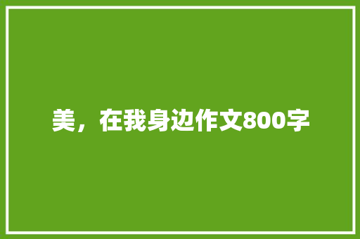 美，在我身边作文800字