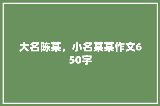 大名陈某，小名某某作文650字