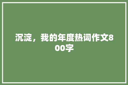 沉淀，我的年度热词作文800字