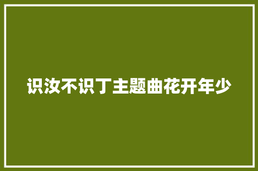 识汝不识丁主题曲花开年少