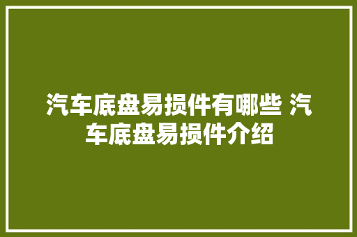 汽车底盘易损件有哪些 汽车底盘易损件介绍