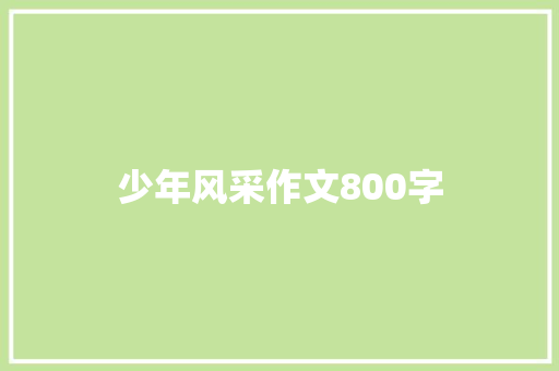 少年风采作文800字