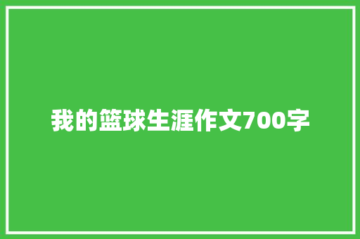我的篮球生涯作文700字