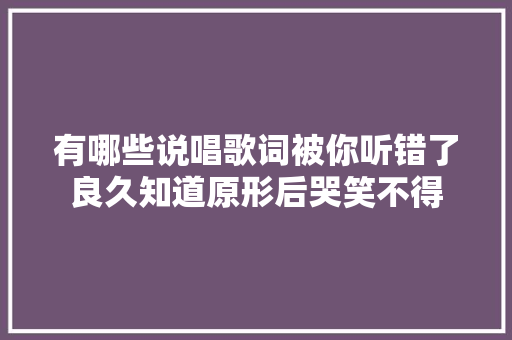 有哪些说唱歌词被你听错了良久知道原形后哭笑不得 休闲娱乐