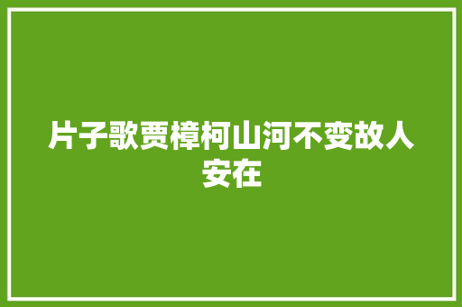 片子歌贾樟柯山河不变故人安在 休闲娱乐