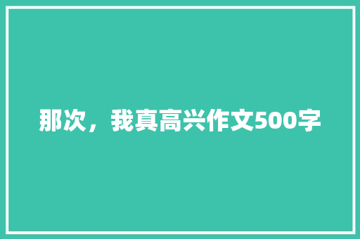 那次，我真高兴作文500字