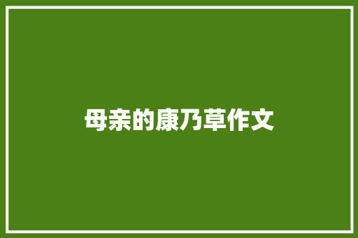 母亲的康乃草作文
