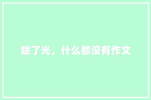除了光，什么都没有作文
