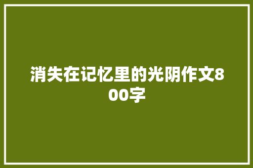 消失在记忆里的光阴作文800字