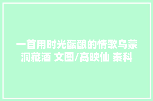 一首用时光酝酿的情歌乌蒙洞藏酒 文图/高映仙 秦科