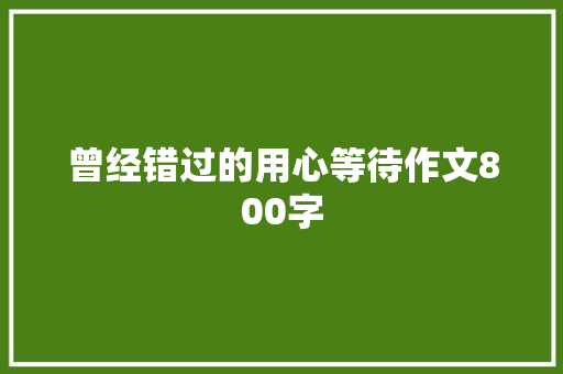 曾经错过的用心等待作文800字