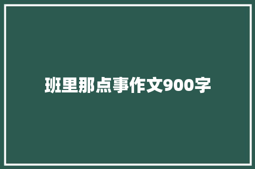 班里那点事作文900字