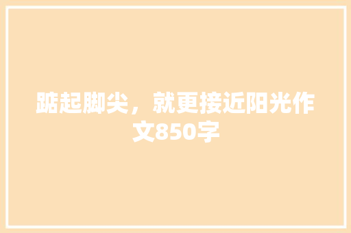踮起脚尖，就更接近阳光作文850字