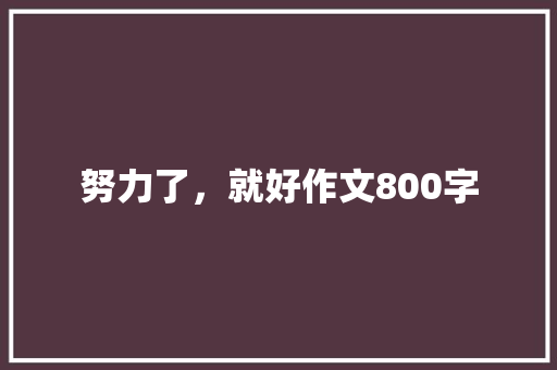 努力了，就好作文800字