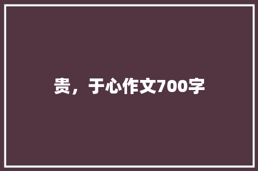 贵，于心作文700字