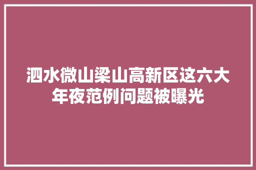 泗水微山梁山高新区这六大年夜范例问题被曝光