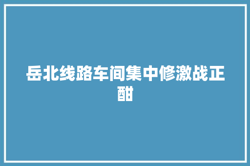 岳北线路车间集中修激战正酣