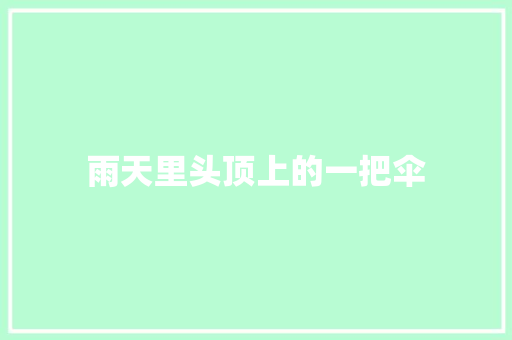 雨天里头顶上的一把伞