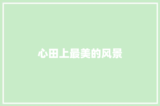 心田上最美的风景