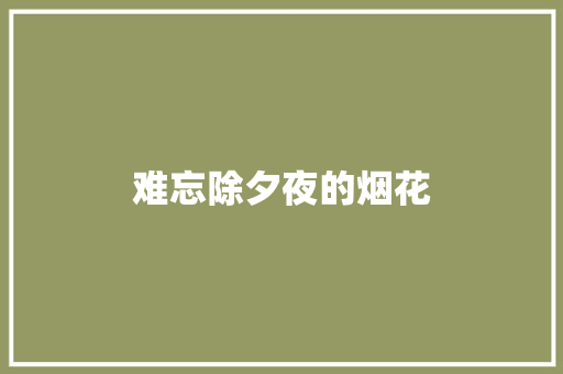 难忘除夕夜的烟花