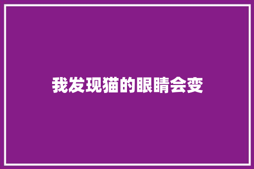 我发现猫的眼睛会变