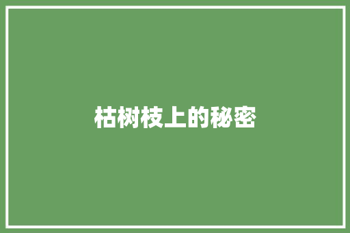 枯树枝上的秘密