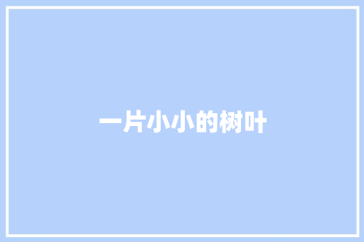 一片小小的树叶