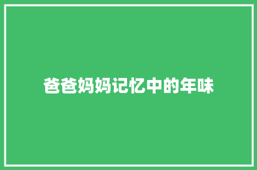 爸爸妈妈记忆中的年味