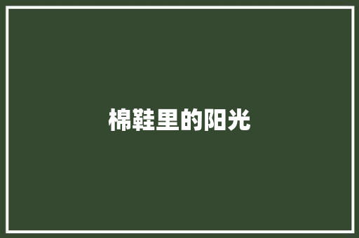 棉鞋里的阳光