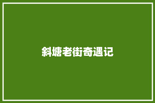 斜塘老街奇遇记