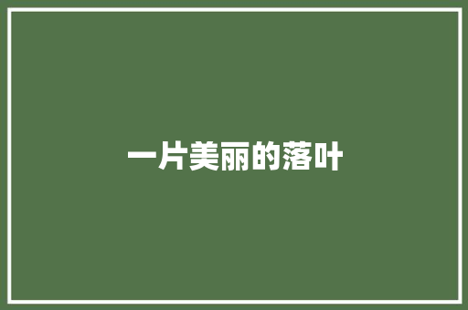 一片美丽的落叶