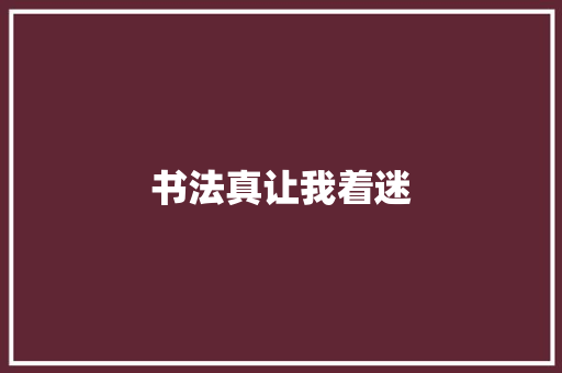书法真让我着迷
