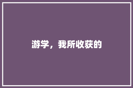 游学，我所收获的