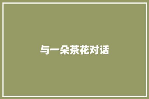 与一朵茶花对话