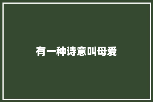 有一种诗意叫母爱