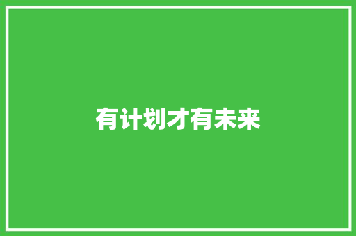 有计划才有未来