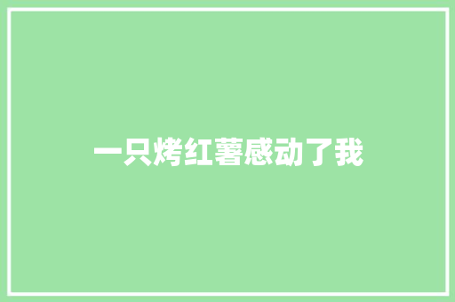 一只烤红薯感动了我