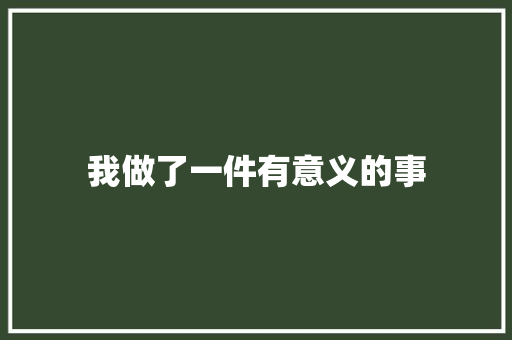 我做了一件有意义的事