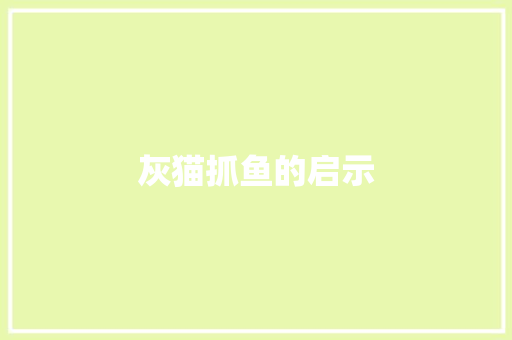灰猫抓鱼的启示