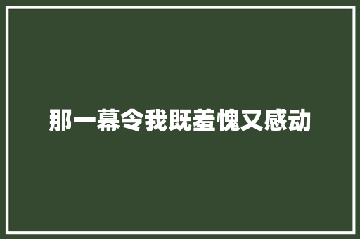 那一幕令我既羞愧又感动