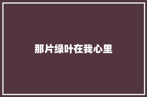 那片绿叶在我心里