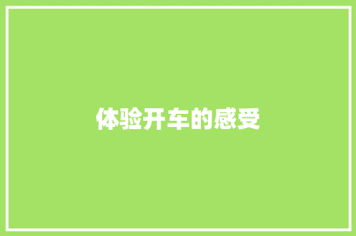 体验开车的感受