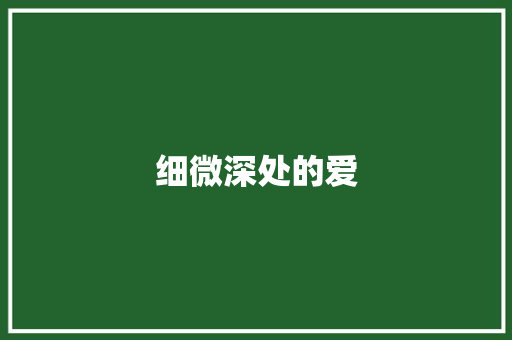 细微深处的爱