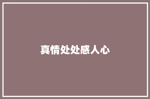 真情处处感人心