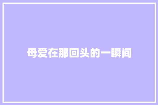 母爱在那回头的一瞬间