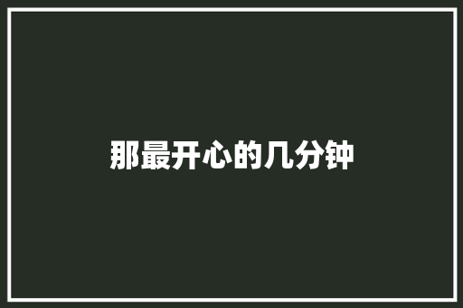 那最开心的几分钟