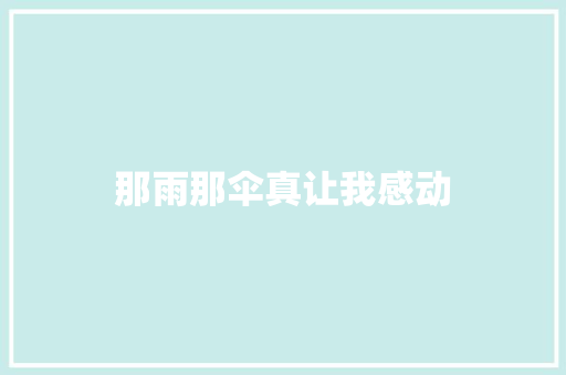 那雨那伞真让我感动