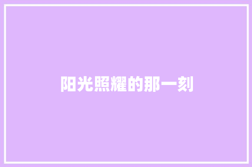 阳光照耀的那一刻