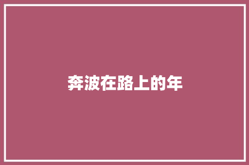 奔波在路上的年