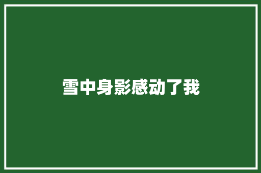 雪中身影感动了我